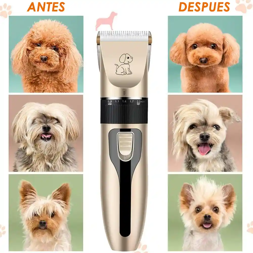 Maquina De Peluquería Canina Kit Mascotas Inalámbrica Full