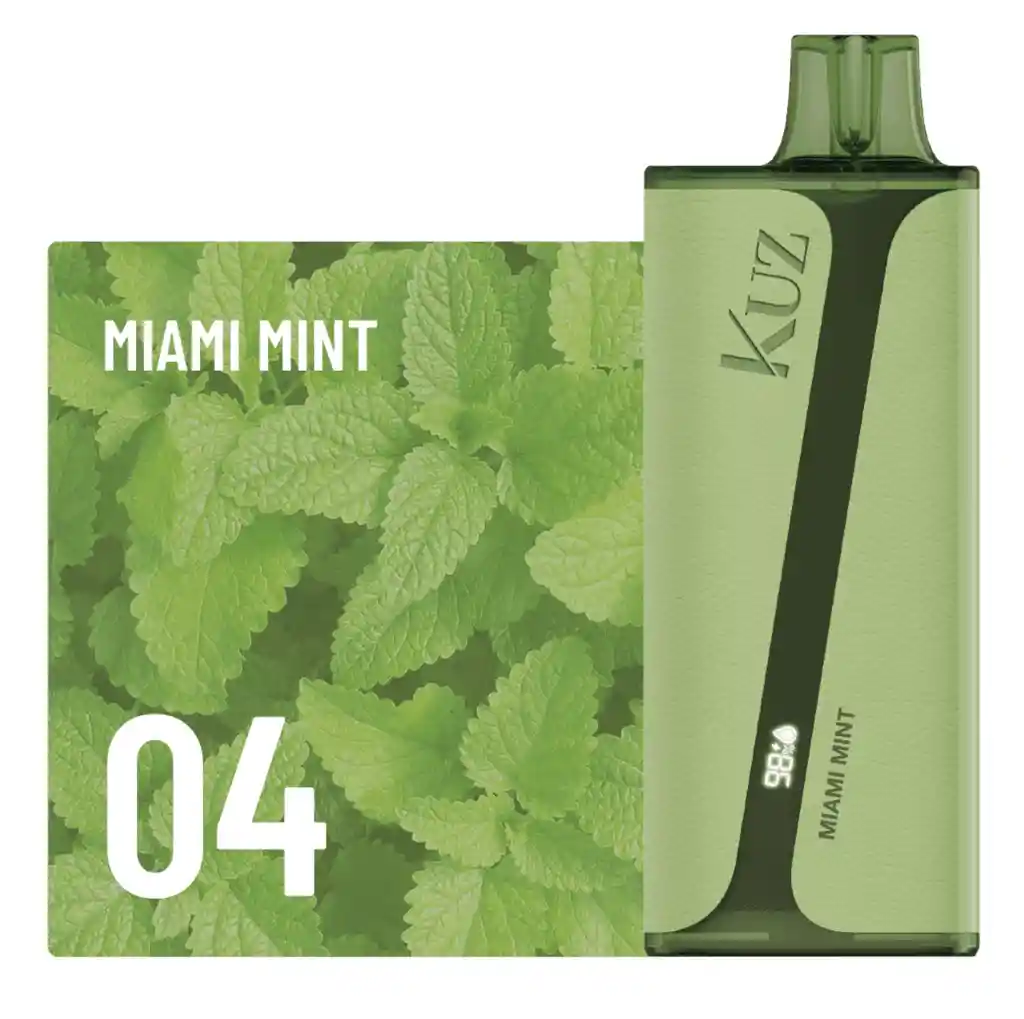 Kuz Vape Miami Mint 9.000 Puffs 5%