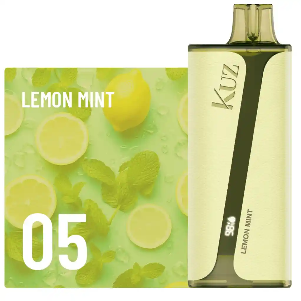 Kuz Vape Lemon Mint 9.000 Puffs 5%