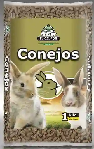 Conejos El Galpón