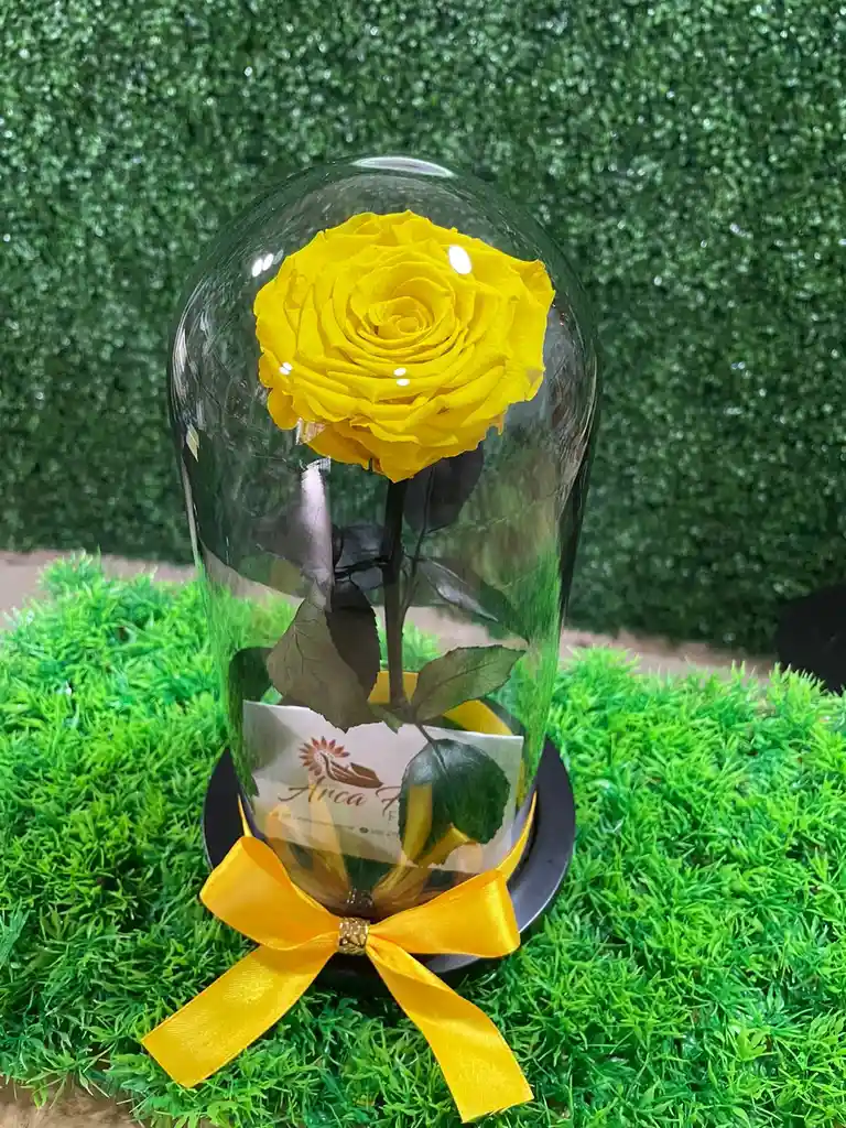 Rosa Eterna Amarilla