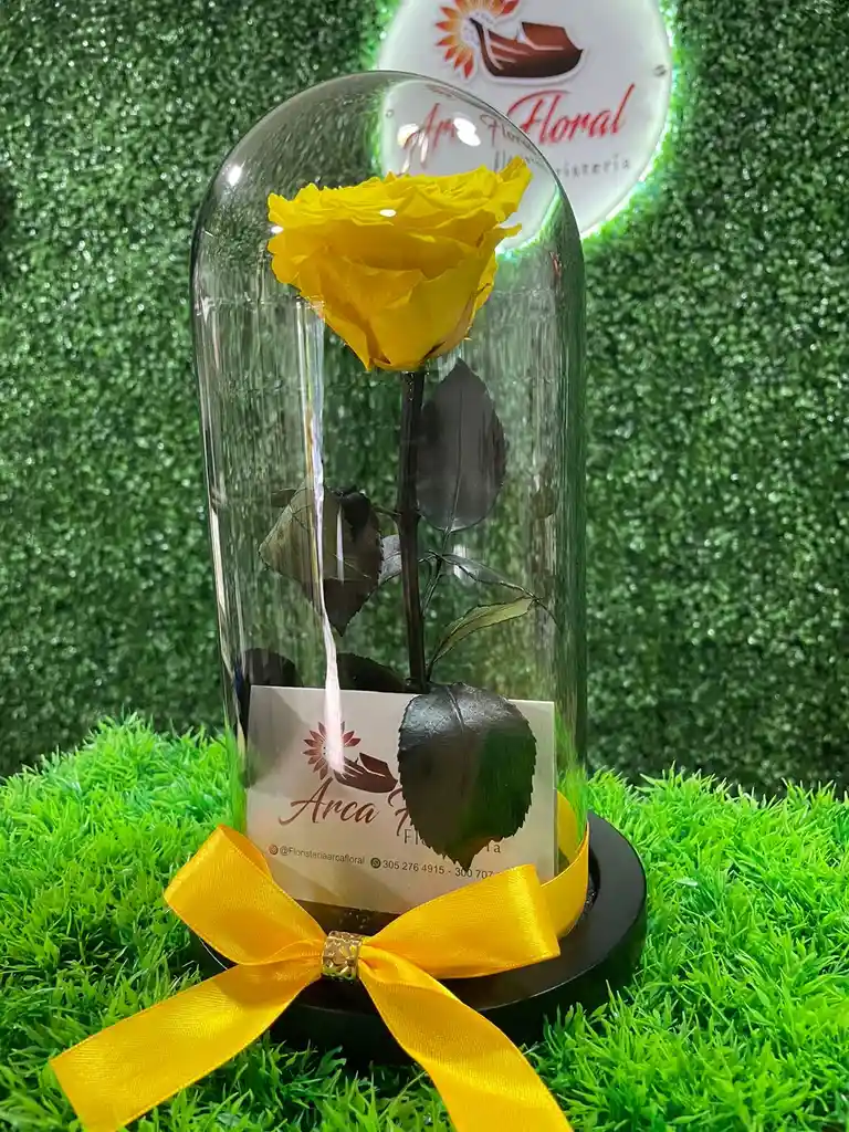 Rosa Eterna Amarilla