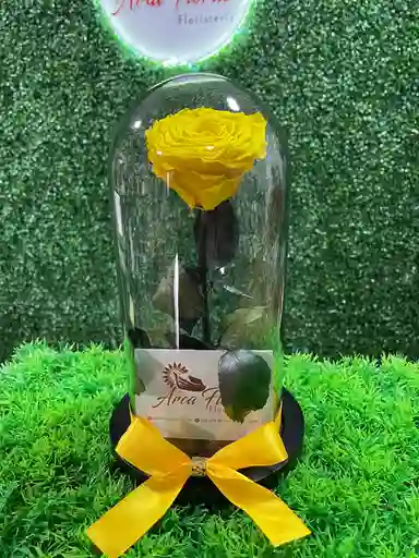 Rosa Eterna Amarilla
