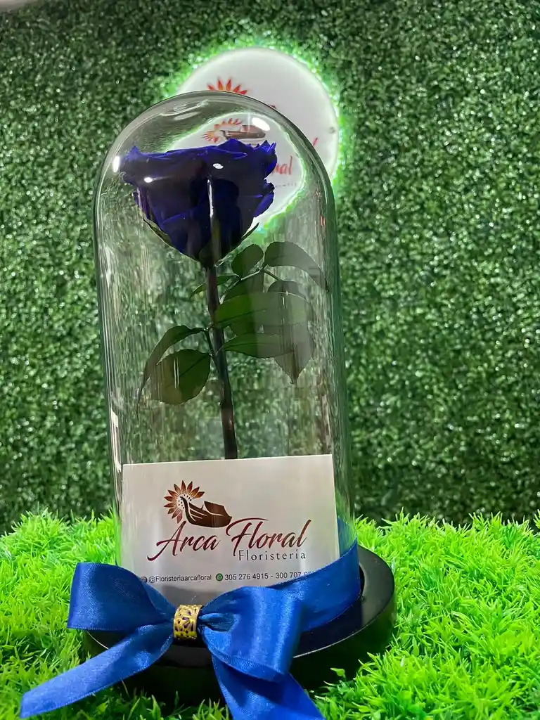 Rosa Eterna Azul