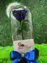 Rosa Eterna Azul