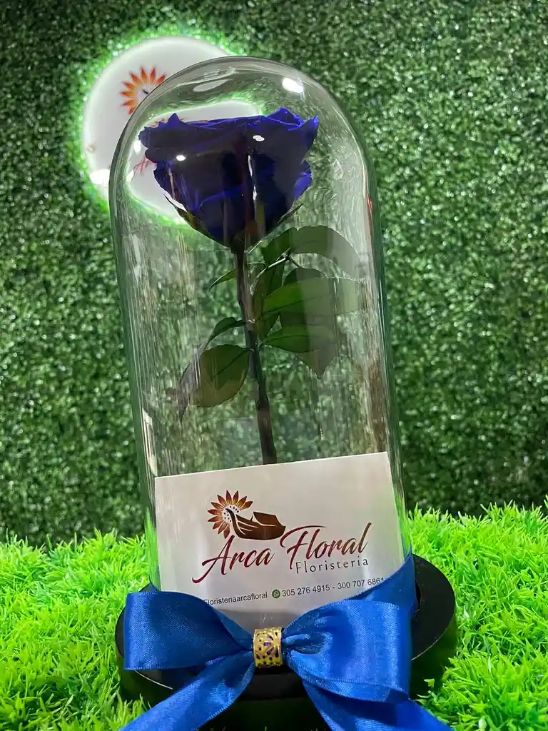 Rosa Eterna Azul