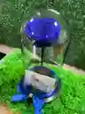 Rosa Eterna Azul