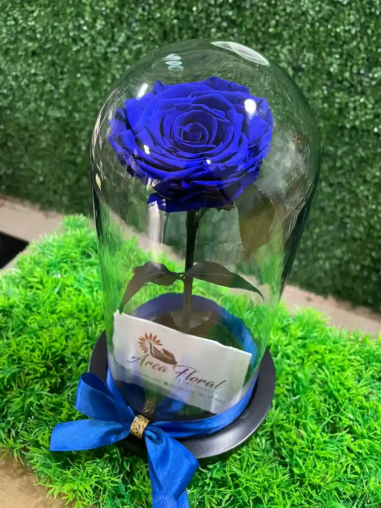 Rosa Eterna Azul
