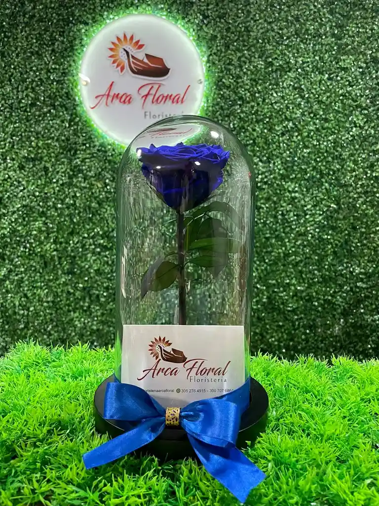 Rosa Eterna Azul