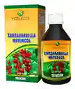 	 Zarzaparrilla Jbe X 240 Ml Naturcol.(70)