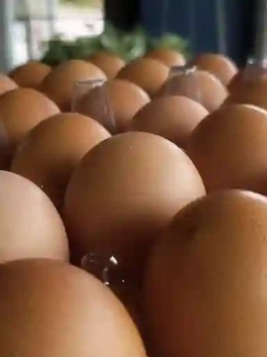 Huevos Orgánicos - Saludables Aa Y Aaa