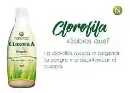 Clorogreen Liq. 500ml Clorofila Naturcol