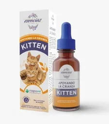 Esencia Kitten Gotas X30ml