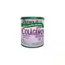 Colageno Biotinayvit C Polvo X 500g