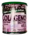 Colageno Biotinayvit C Polvo X 500g