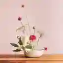 Ikebana Keshi
