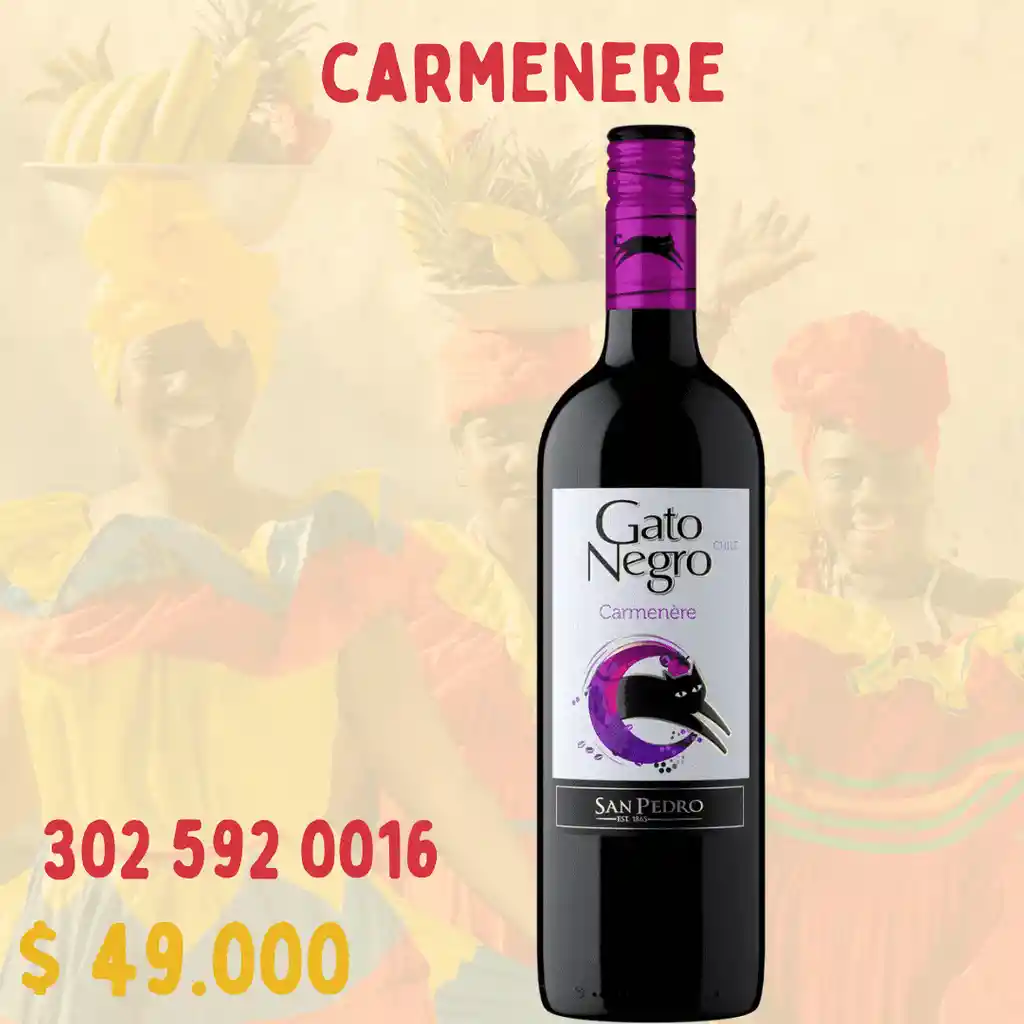 Vino Tinto Carmenere Gato Negro Por Botella