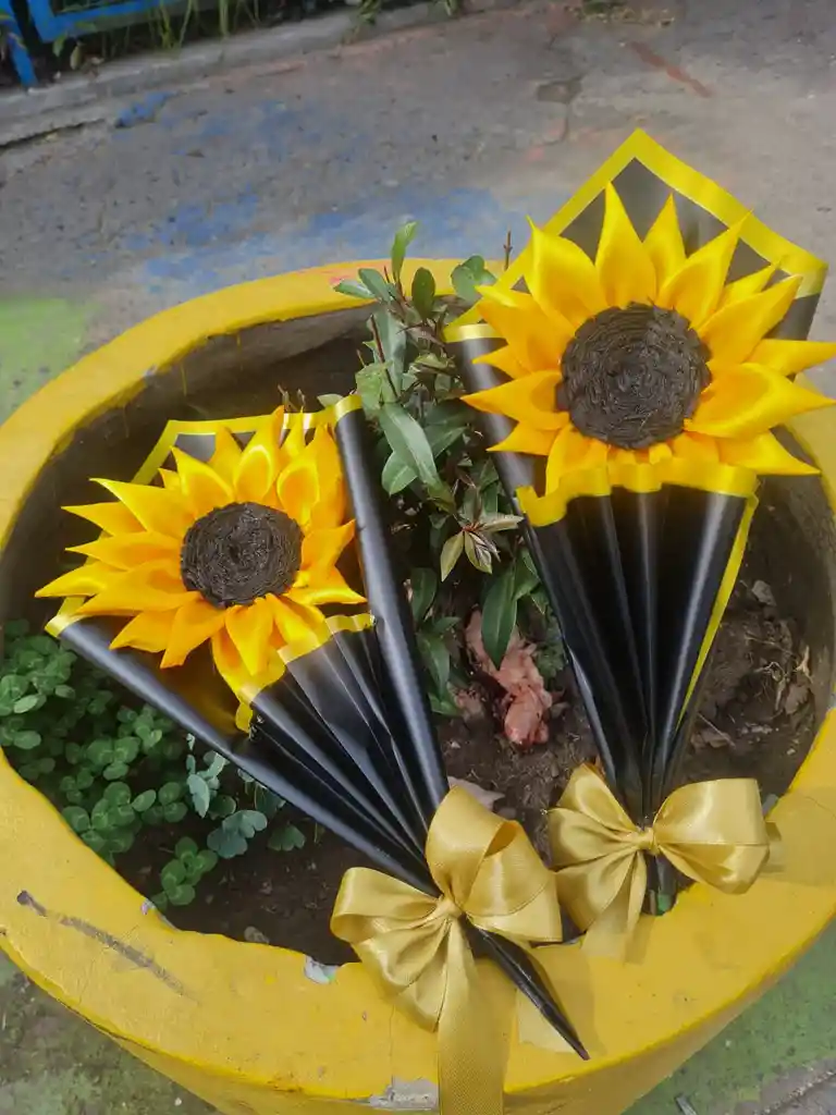 Girasoles Eternos