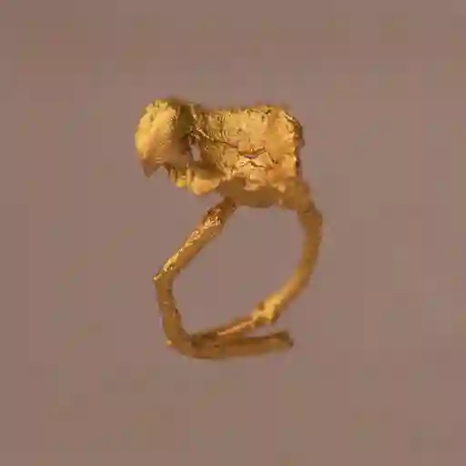 Anillo Conchita Ondulada