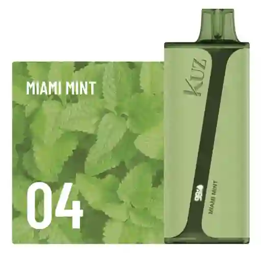 Kuz Vape Miami Mint 9.000 Puffs 5%