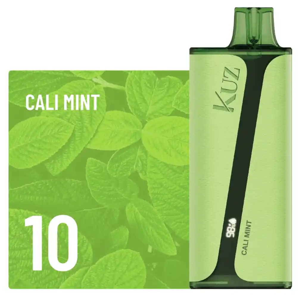 Kuz Vape Cali Mint 9.000 Puffs 5%