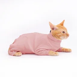 Capillienterizo Rosa Con Mangas Para Gato Talla L