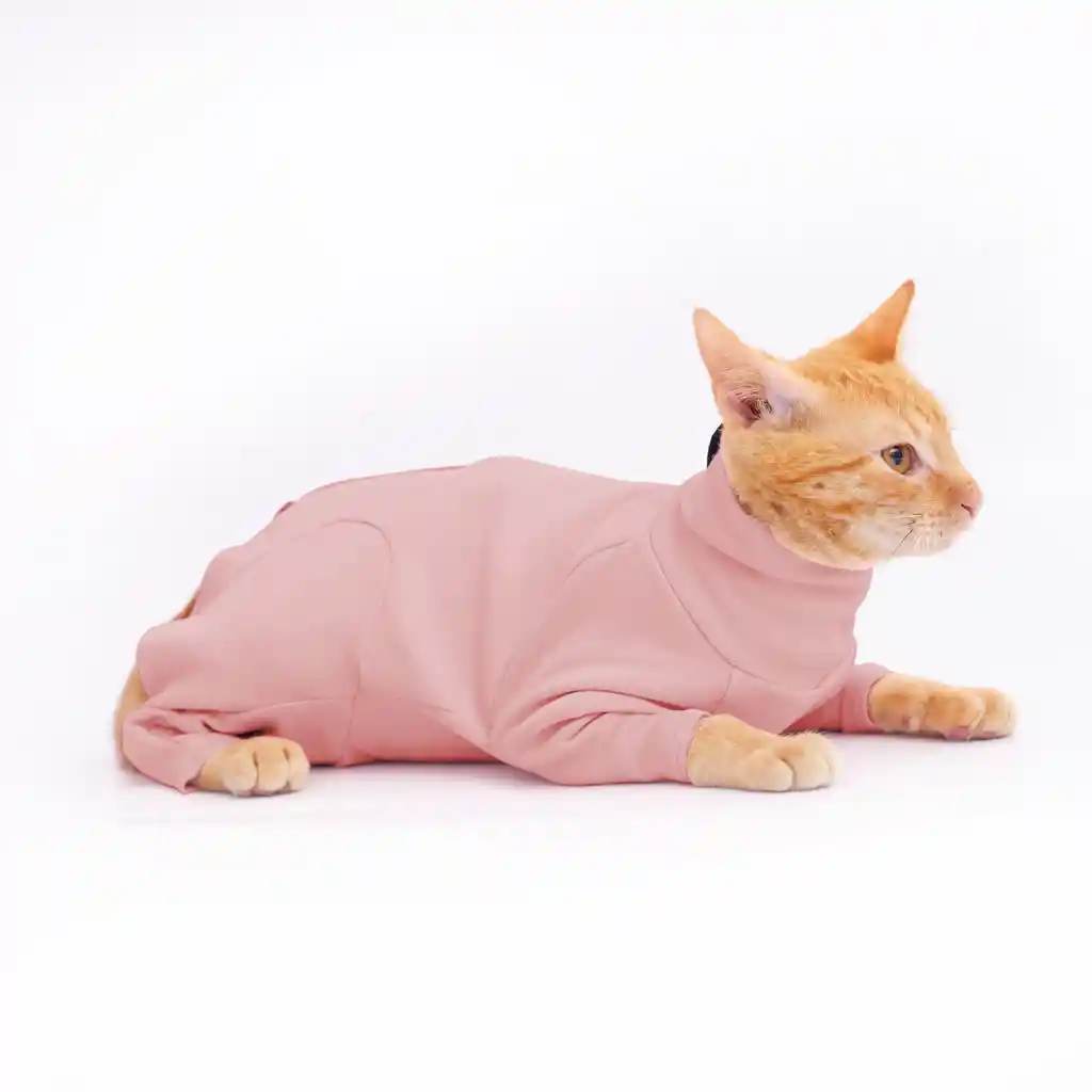 Capillienterizo Rosa Con Mangas Para Gato Talla L