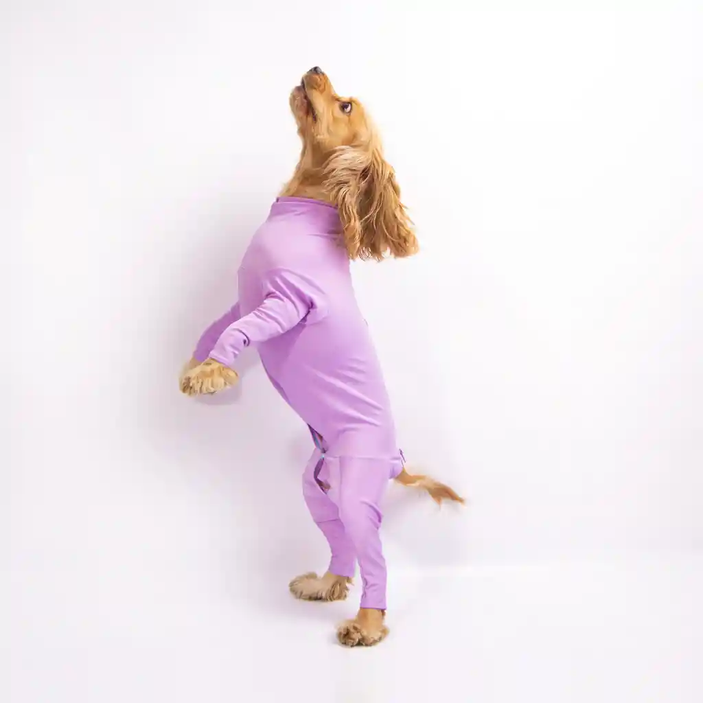 Capillienterizo Con Mangas Talla Xxl Para Perro Color Lila