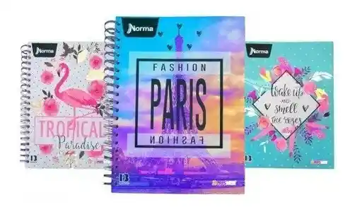 Cuadernos Argollados Grandes