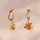 Aretes Candonga Orquidea Maxilaria