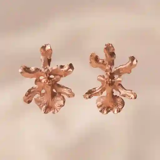 Aretes Topo Orquidea Chocolate