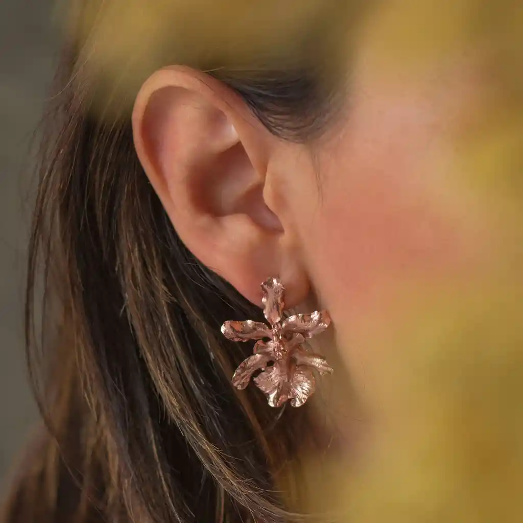 Aretes Topo Orquidea Chocolate