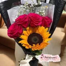 Flores Girasol Flores Rojas