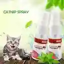 Catnip Spray Líquido Natural De Hierba Gatera