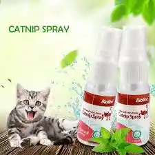 Catnip Spray Líquido Natural De Hierba Gatera