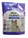 Arena Para Gato Calabaza X 4.5 Kg