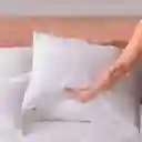 Almohada Siliconada 50x70cm