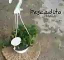 Pescadito Planta De Colgante