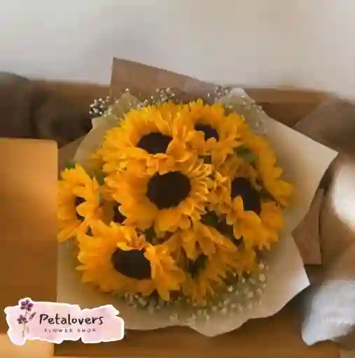 Girasoles Radiantes San Valentin