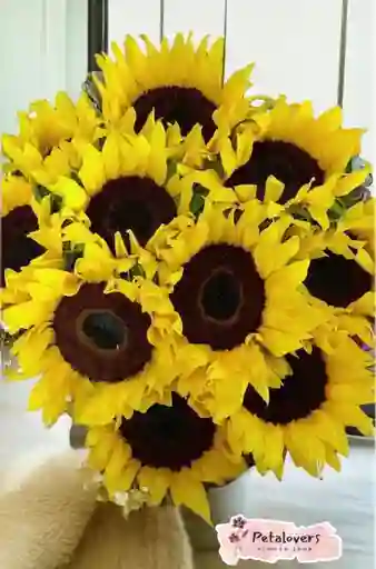 Flores Frescas Girasoles