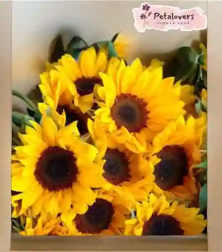 Flores Bouquet De 7 Girasoles