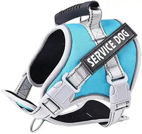 Pechera Service Dog Talla L (color Agua Marina)