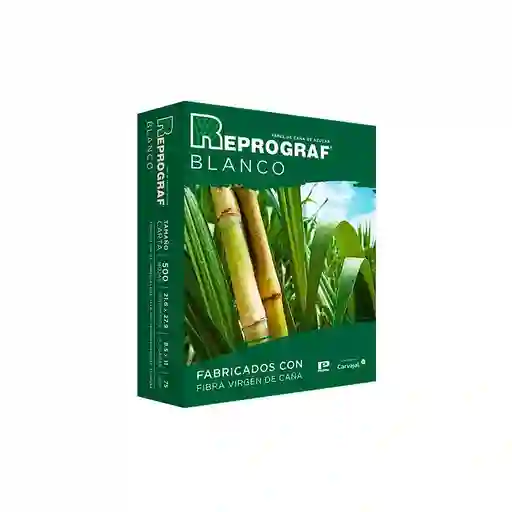 Resma Reprograf Blanco 75 Grs Carta
