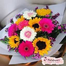 Gerberas Y Girasoles