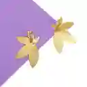 Maxi Aretes Livianos Flor Dorada