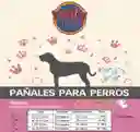 Pañal Desechable Para Mascota Hembra Talla S Por 10 Und