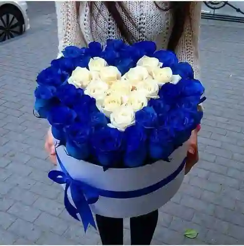 Rosas Azules #02 Corazon De Amor