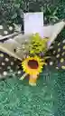 Ramo Girasol Decorado