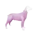 Enterizo Perro Con Mangas Lila Talla Xxs