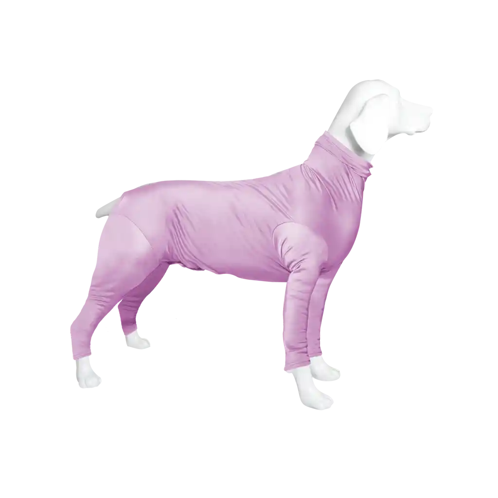 Enterizo Perro Con Mangas Lila Talla Xxs